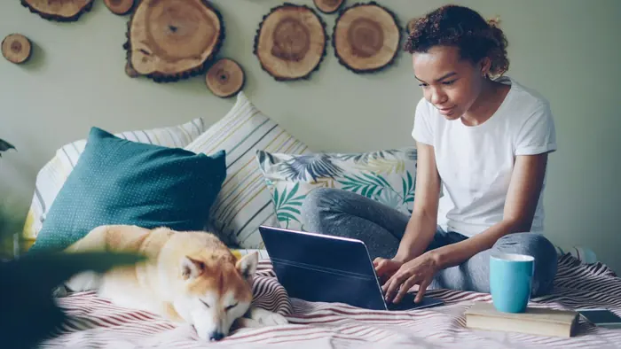 A pet parent on a video call, their dog curled up beside the laptop