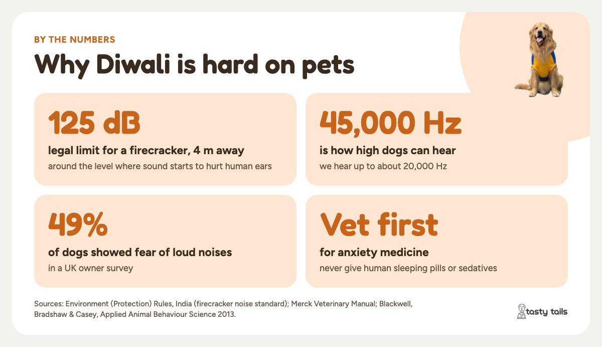 Why Diwali is hard on pets: firecrackers can legally reach 125 dB at 4 m, dogs hear up to about 45,000 Hz, and 49% of dogs in a UK survey showed fear of loud noises.