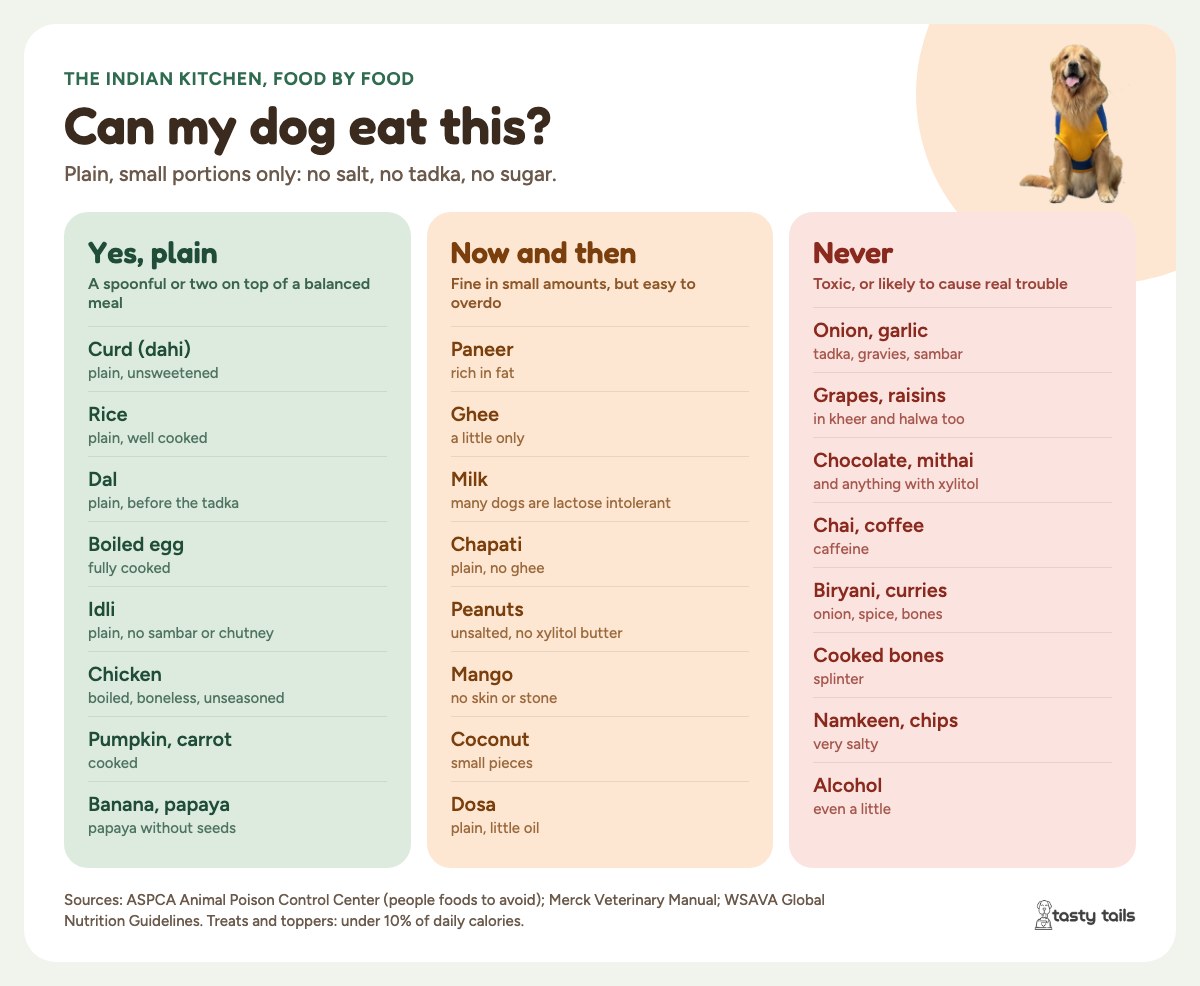 Can my dog eat this? Yes, plain: curd, rice, plain dal, boiled egg, idli, boiled chicken, pumpkin, carrot, banana, papaya. Now and then: paneer, ghee, milk, chapati, peanuts, mango, coconut, dosa. Never: onion, garlic, grapes, raisins, chocolate, mithai, xylitol, chai, coffee, biryani, curries, cooked bones, namkeen, alcohol.
