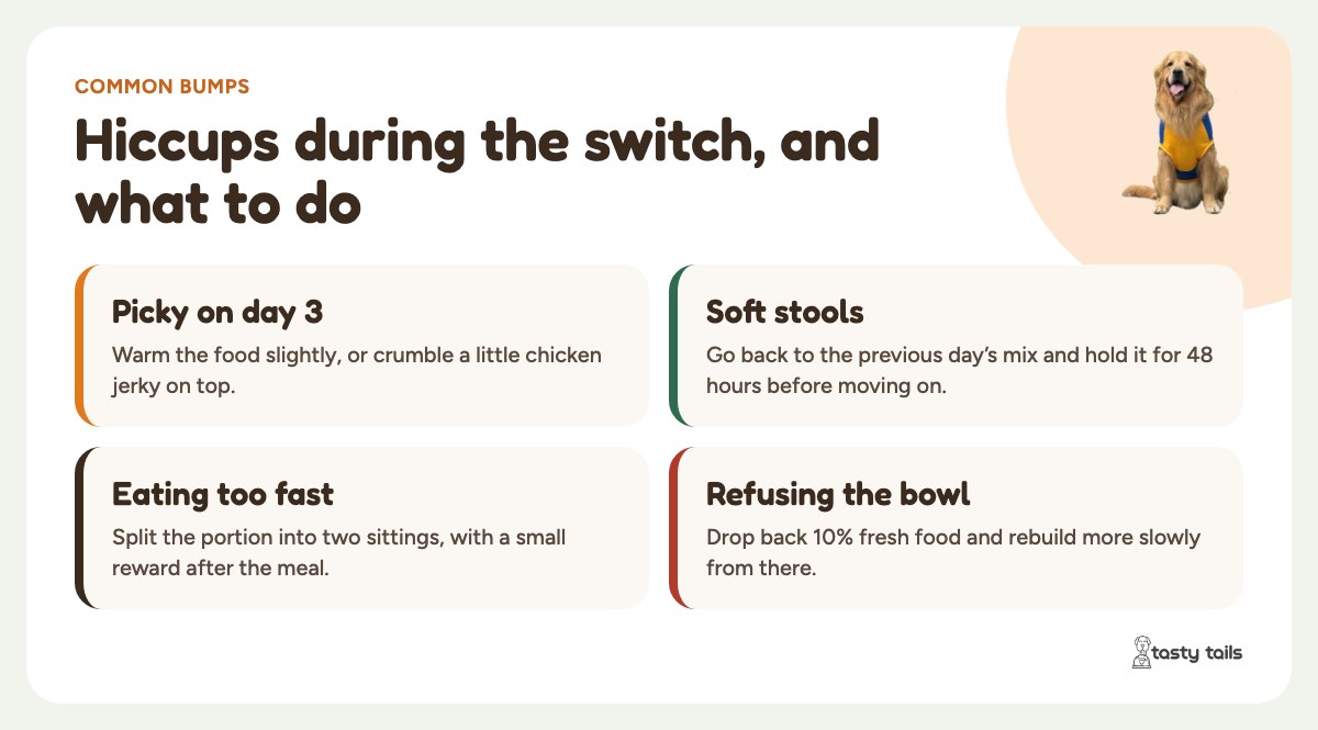 Common bumps: warm the food for picky days, hold the mix for soft stools, split meals for fast eaters, and drop back 10% if your dog refuses.