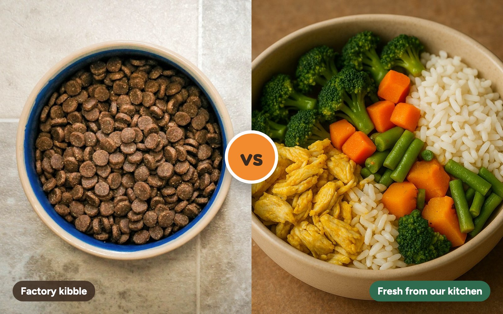 A bowl of dry kibble next to a fresh bowl of chicken, rice and vegetables