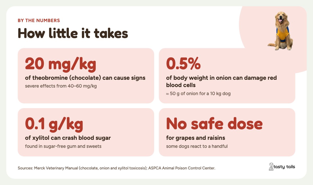 How little it takes: 20 mg/kg of theobromine from chocolate can cause signs, onion at 0.5% of body weight can damage red blood cells, 0.1 g/kg of xylitol can crash blood sugar, and there is no known safe dose of grapes or raisins.