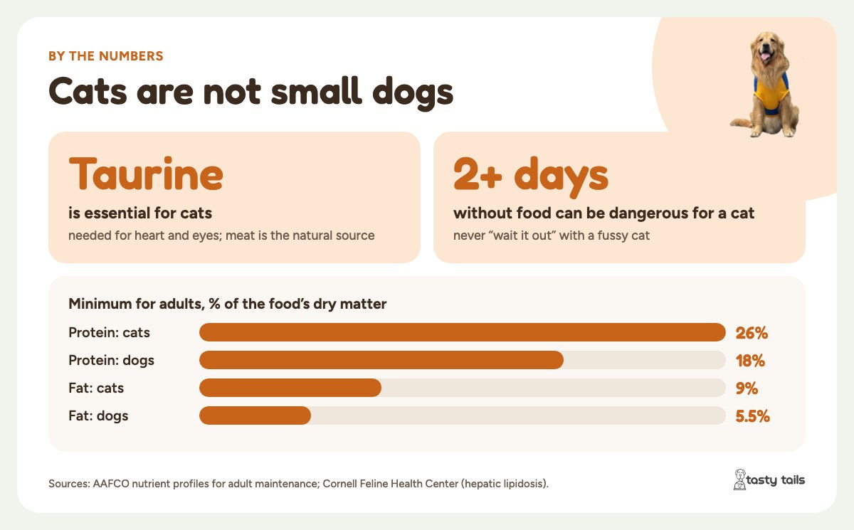 Cats need more: at least 26% protein and 9% fat in dry matter for adult cats, vs 18% and 5.5% for dogs (AAFCO). Taurine is essential, and 2 or more days without food can be dangerous for a cat.