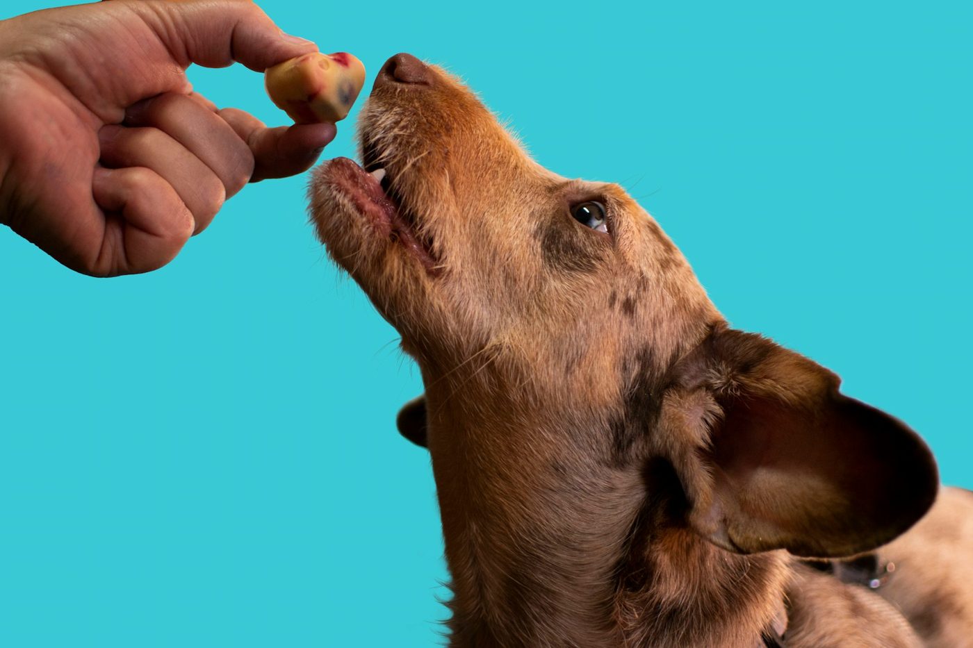 Share love, not leftovers.