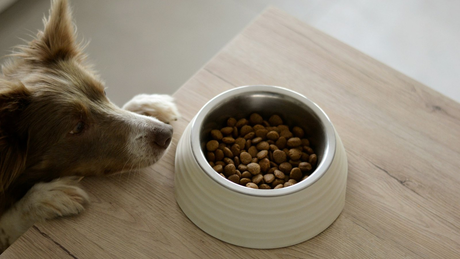 A dog resting its head on a wooden table, looking at a bowl of kibble
