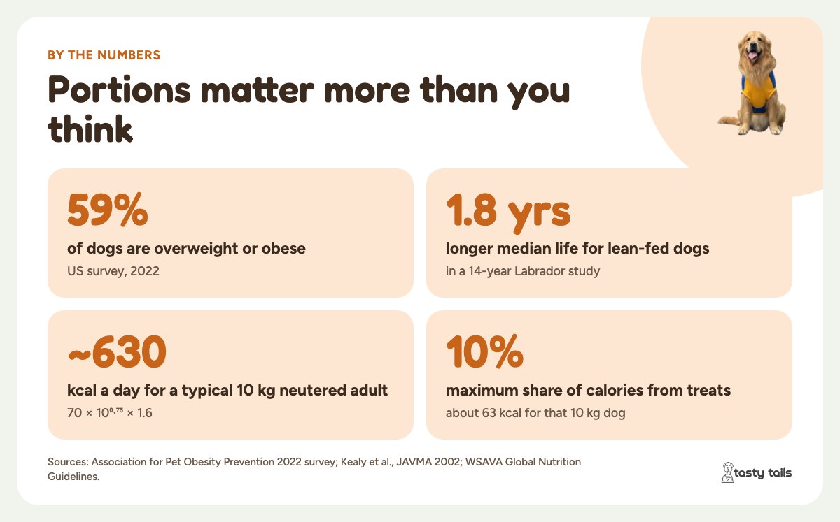 By the numbers: 59% of dogs are overweight or obese (APOP 2022); lean-fed dogs lived a median 1.8 years longer (Kealy et al. 2002); a 10 kg neutered adult needs about 630 kcal a day; treats should stay under 10%.
