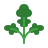 Parsley 