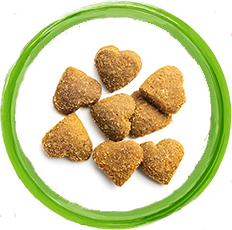 Chicken & Ragi Bites